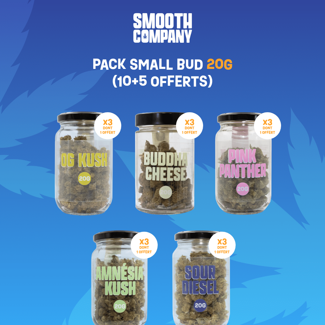 SMOOTH COMPANY - PACK SMALL BUDS 20G (10+5 OFFERTS)