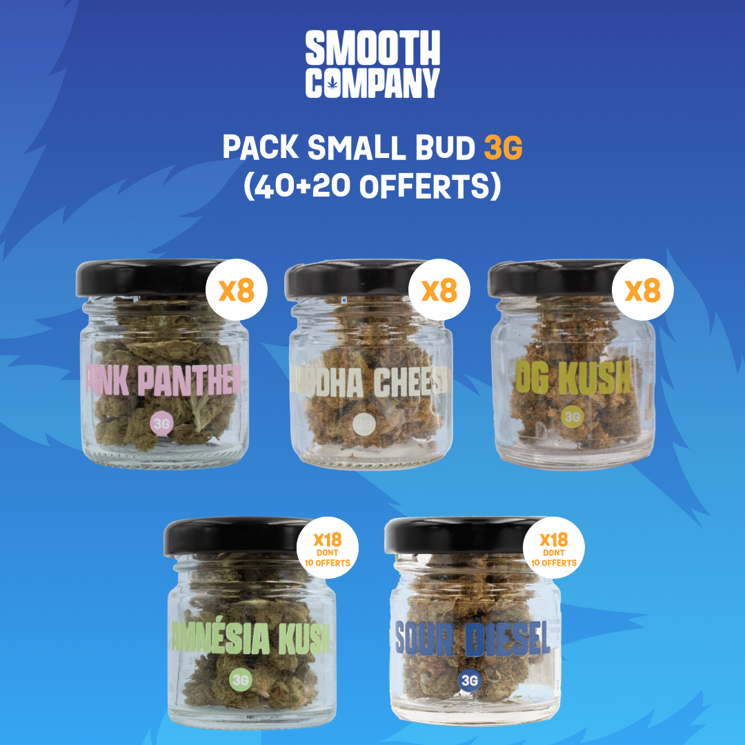 SMOOTH COMPANY - PACK SMALL BUD 3G (40+20 OFFERTS)