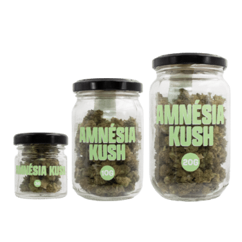 SMOOTH COMPANY - Amnésia Kush