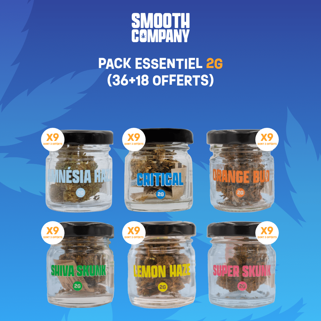 SMOOTH COMPANY - PACK ESSENTIEL 2G (36+ 18 OFFERTS)