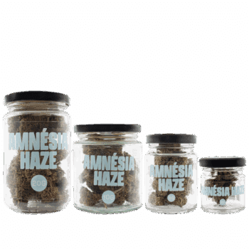 SMOOTH COMPANY - Amnésia Haze