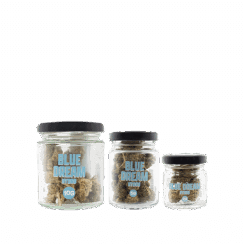 SMOOTH COMPANY - Blue Dream