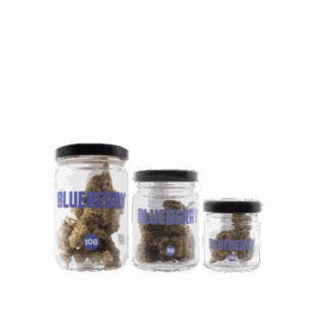 SMOOTH COMPANY - Blueberry