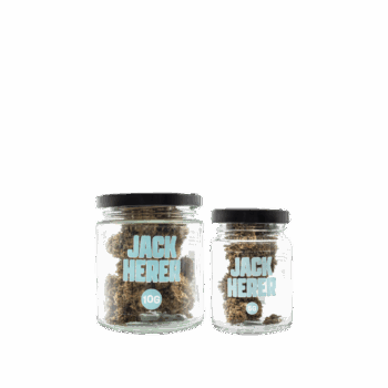 SMOOTH COMPANY - Jack Herer