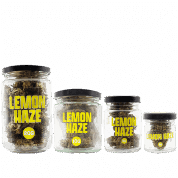 SMOOTH COMPANY - Lemon Haze