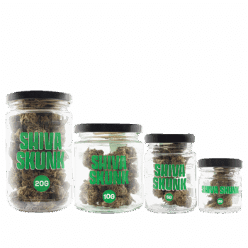 SMOOTH COMPANY - Shiva Skunk