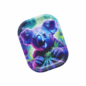 Plateau de roulage Crazy Koala (PM)
