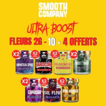 SMOOTH COMPANY - PACK FLEUR ULTRA BOOST 2G (10+ 4 OFFERTS)