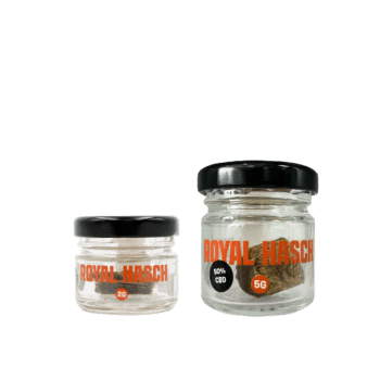 SMOOTH COMPANY Royal Hasch