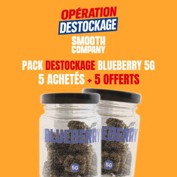SMOOTH COMPANY - OPERATION DESTOCKAGE BLUEBERRY 5G (5 + 5 OFFERTS)