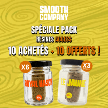 SMOOTH COMPANY - 10 ROYAL HASCH 10G + 10 JAUNE 10G OFFERTS